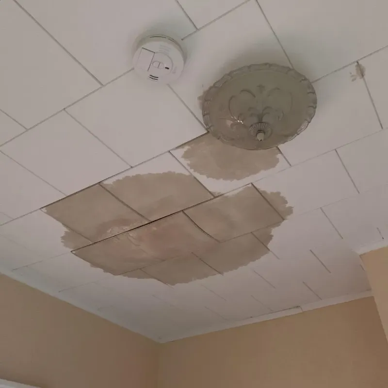 Ceiling Water Damage Repair in Meeker County, MN