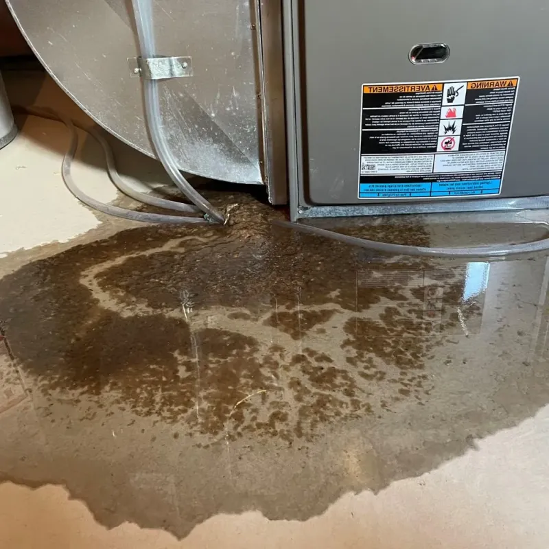 Pipe Burst and Leak Restoration in Meeker County, MN