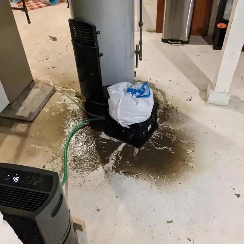 Sewage Backup Cleanup Service in Meeker County, MN